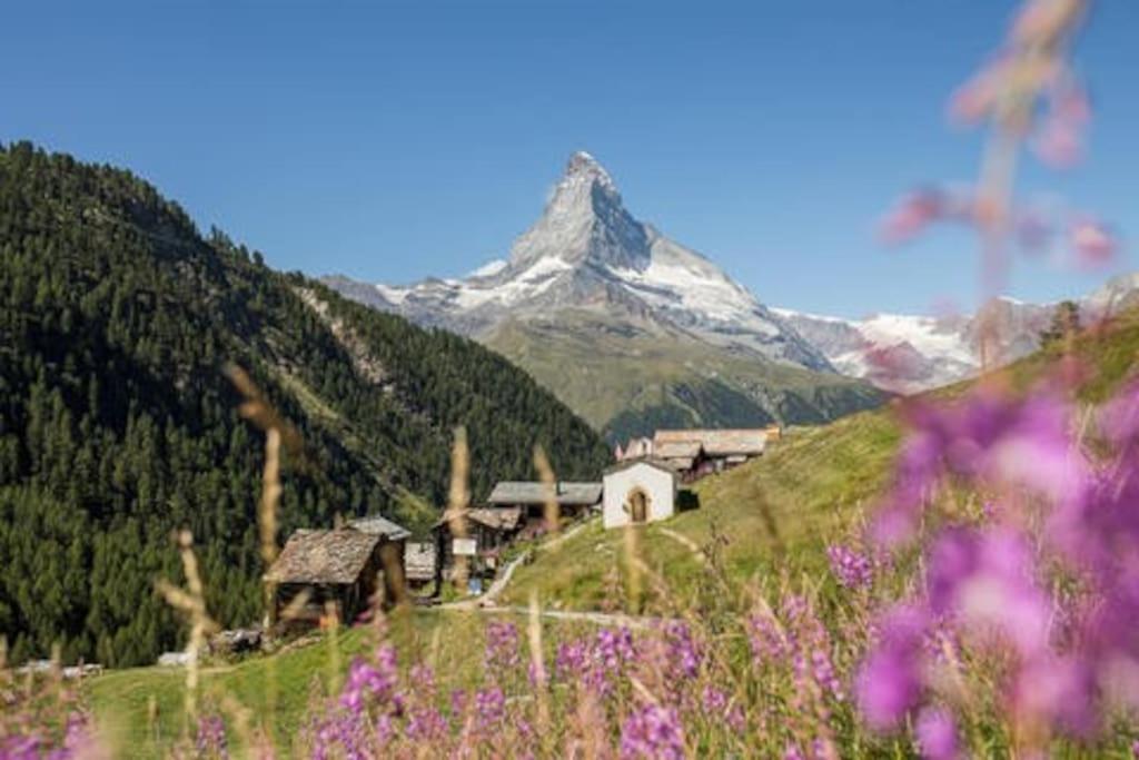 Appartement Chalet Rofel à Zermatt Extérieur photo